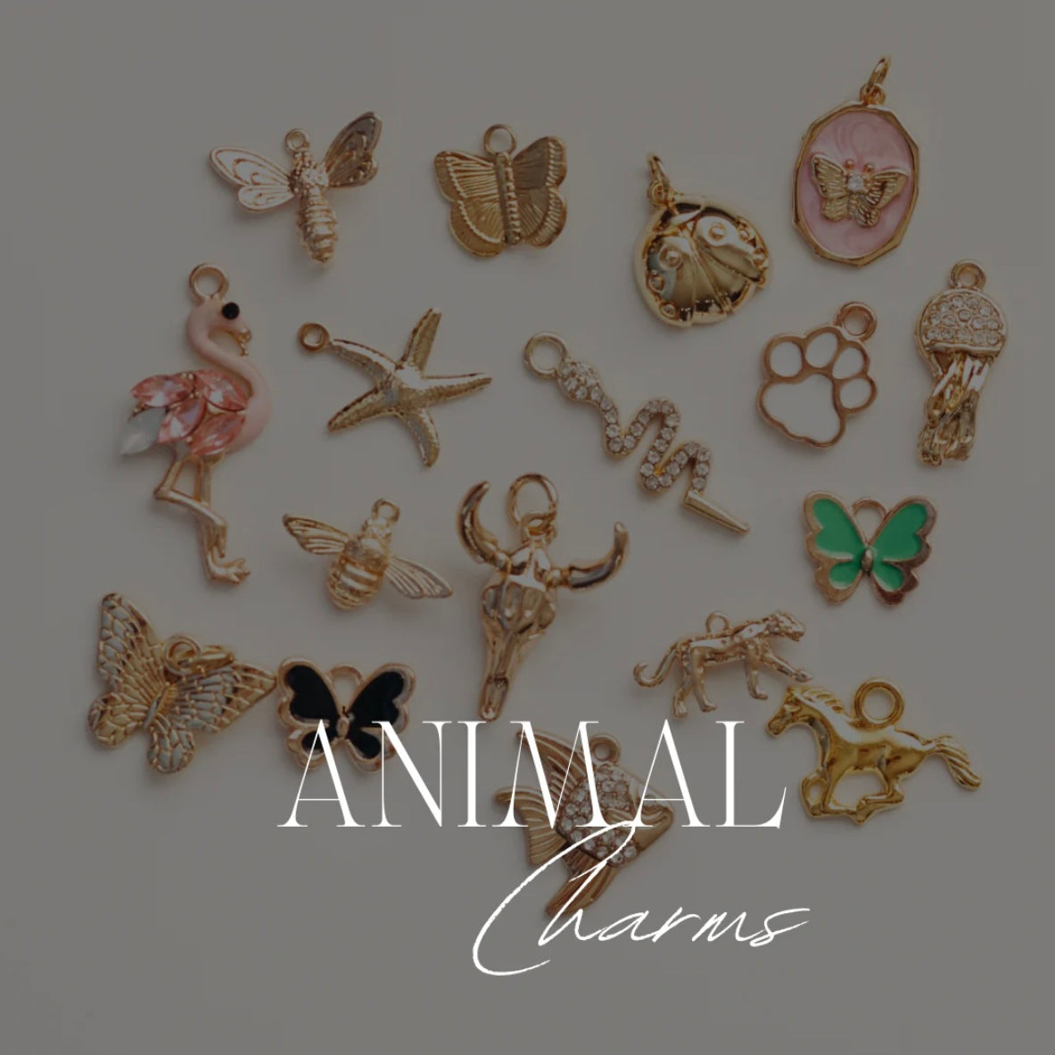 Animal Charms