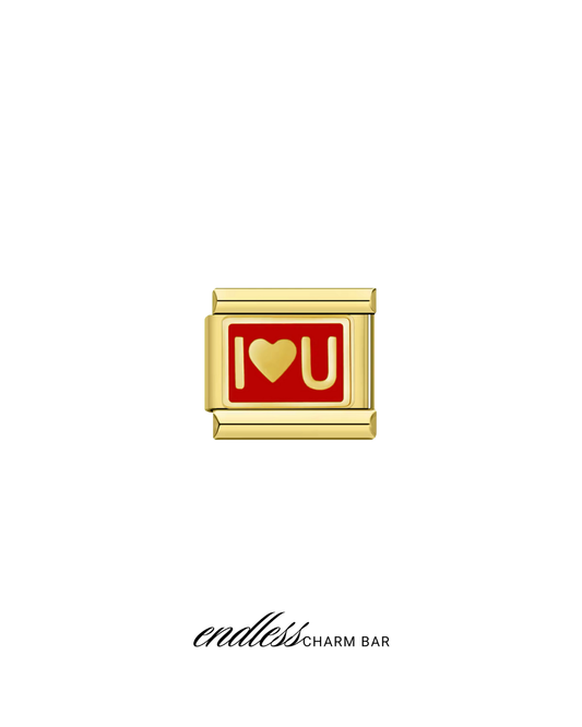 I <3 U IT Charm